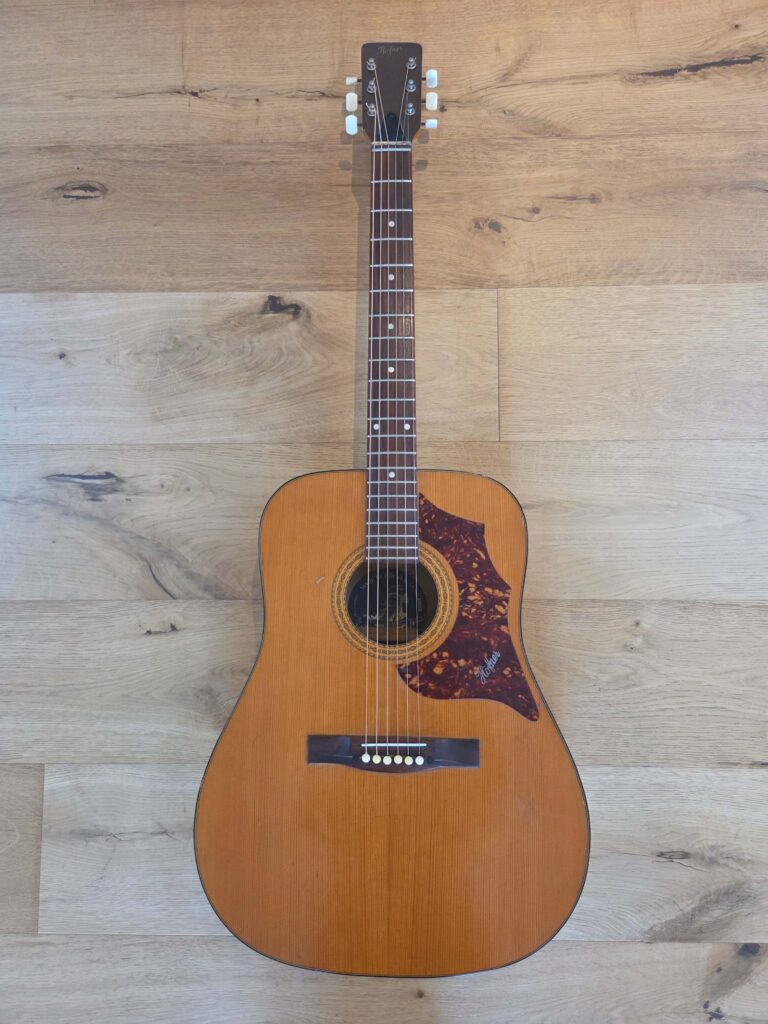 Höfner 489, 1973