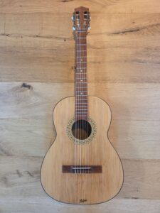 Höfner model 5120